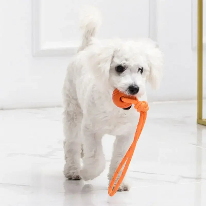 Rope Ball Training Toy