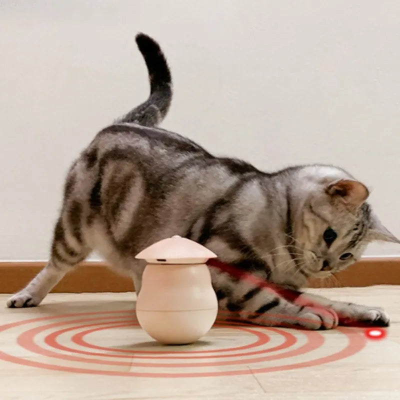 Timed Automatic Cat Laser