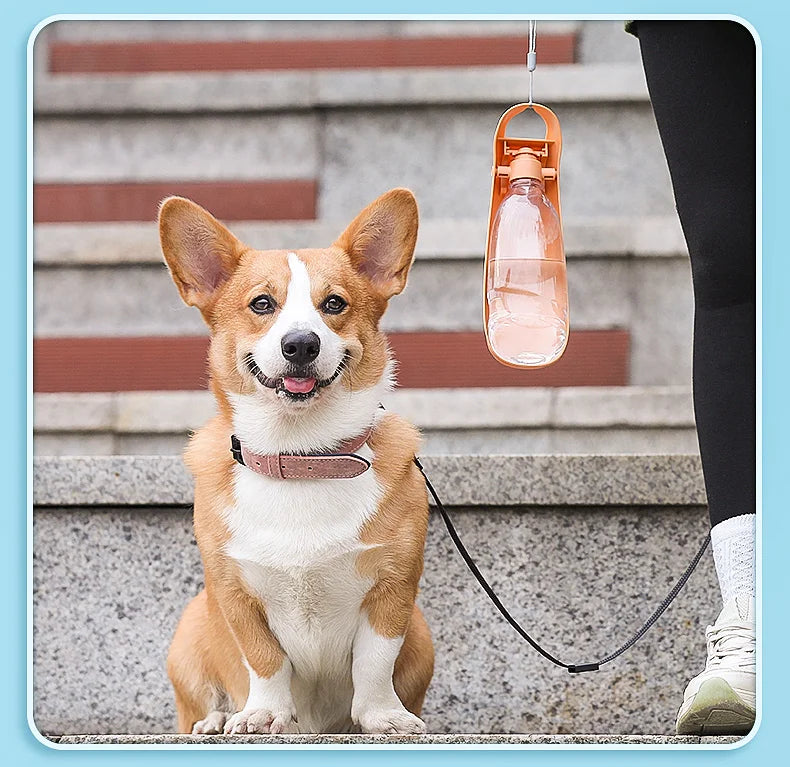 Foldable Dog Water Bottle