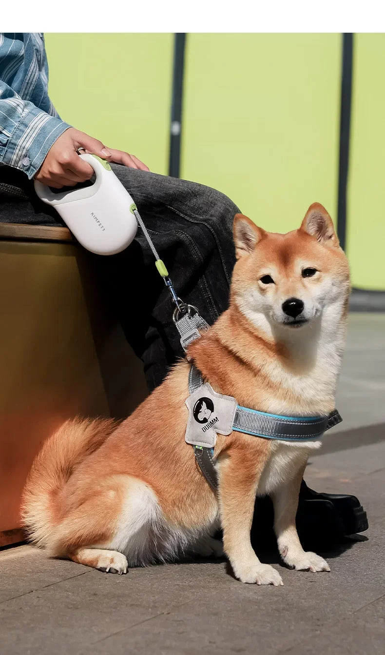 Heavy Duty Retractable Leash