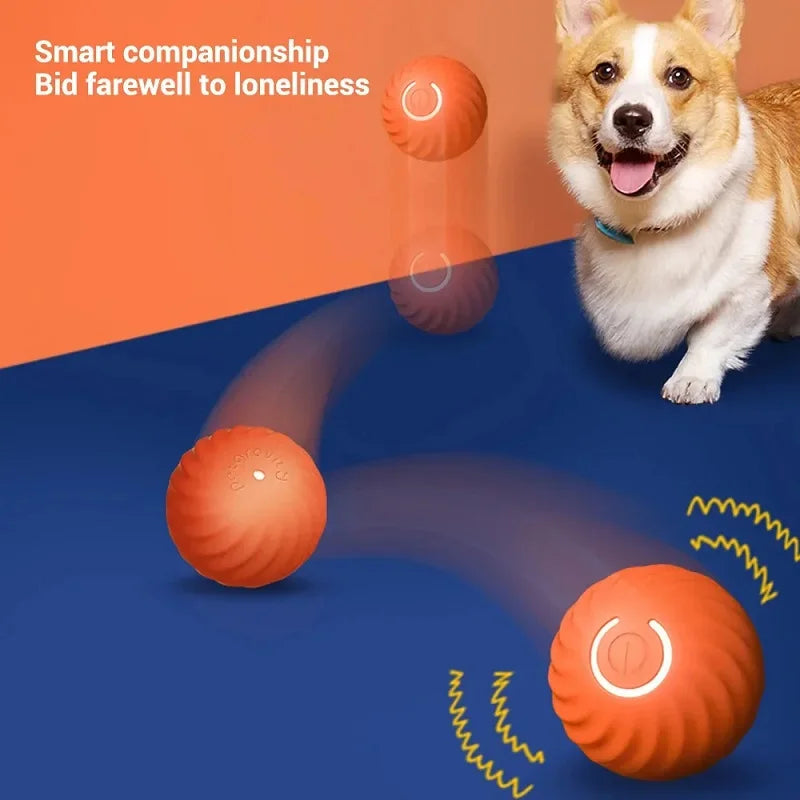 Intelligent Interactive Dog Toy