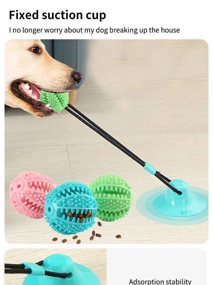 Smart Interactive Dog Ball