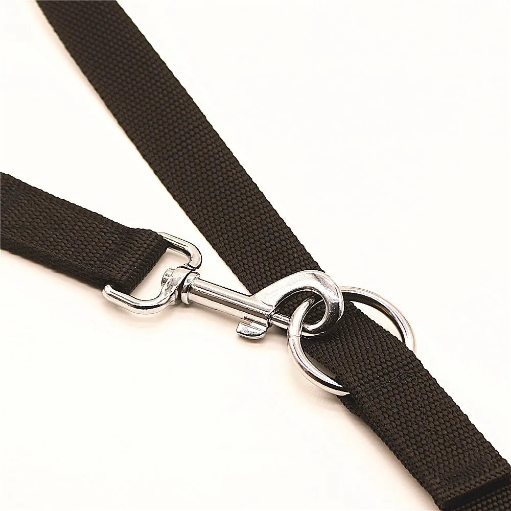Adjustable Training Dog Leash