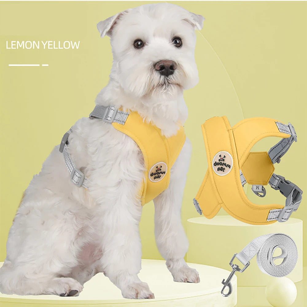 No Pull Harness Leash Set