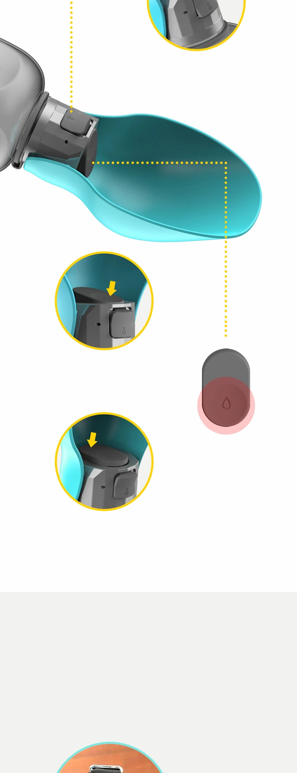 Large Dog Water Bottle