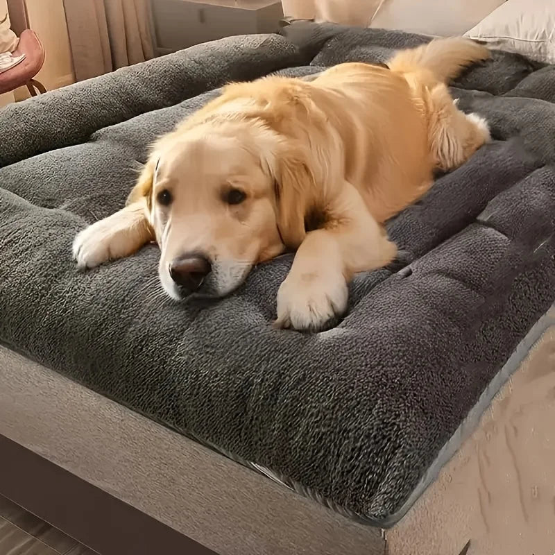 Plush Pet Sofa Bed