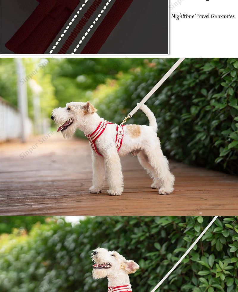 Square Waterproof Dog Bed