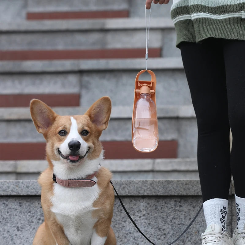 Foldable Dog Water Bottle