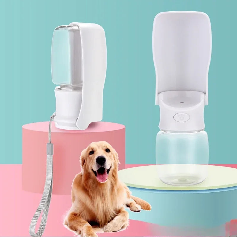 Foldable Dog Water Dispenser