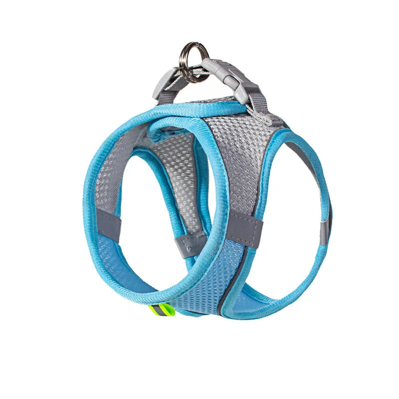 Dog Harness Leash Set
