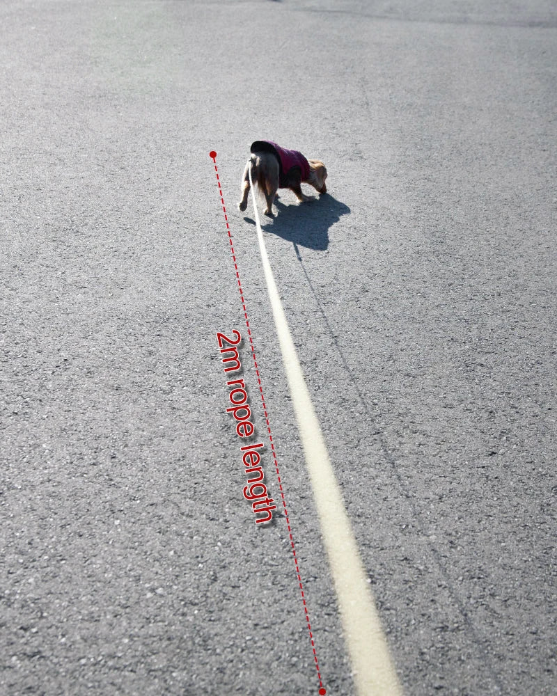 Retractable Dog Leash 2m