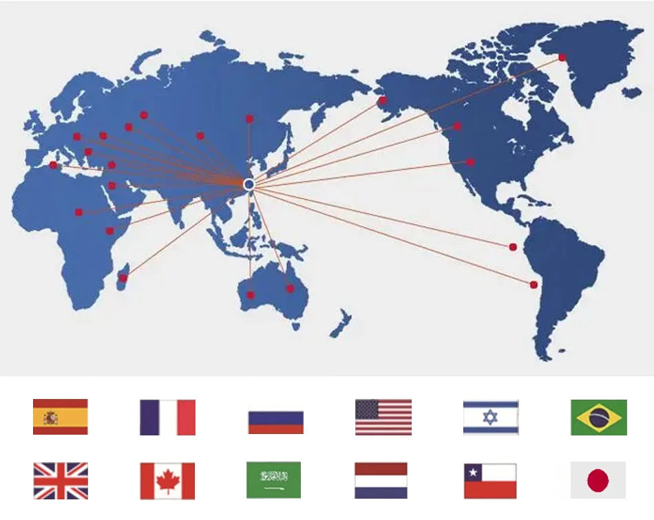 Orthopedic Dog Sofa Bed