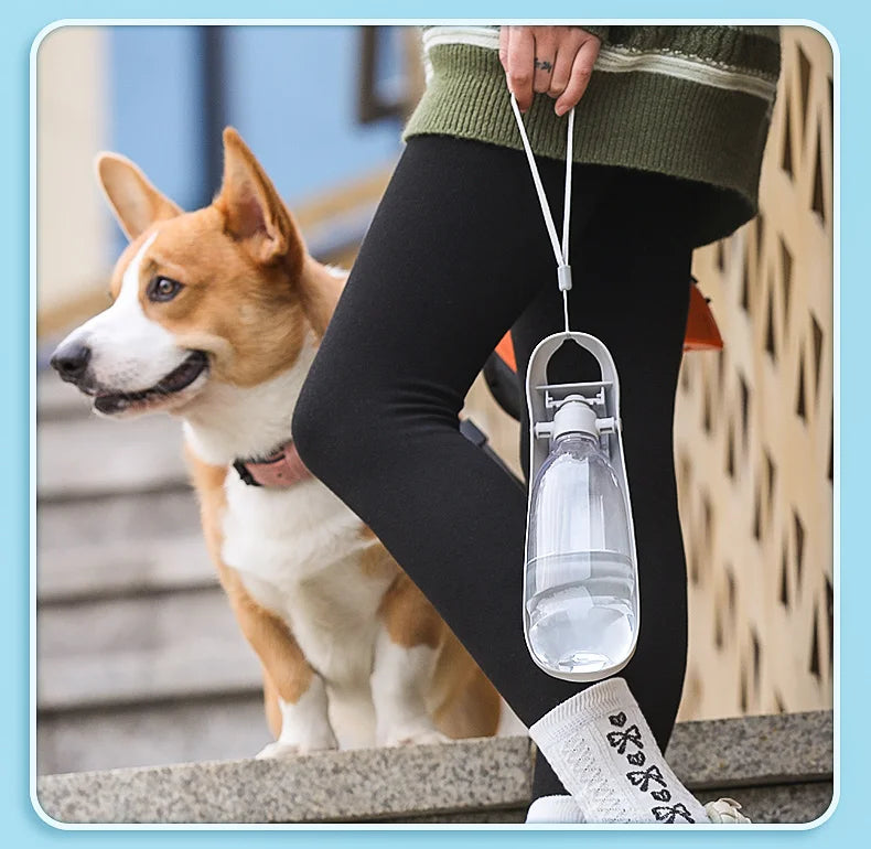Foldable Dog Water Bottle