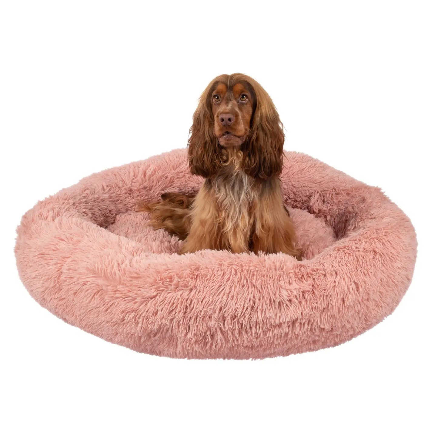Hooded Orthopedic Dog Bed