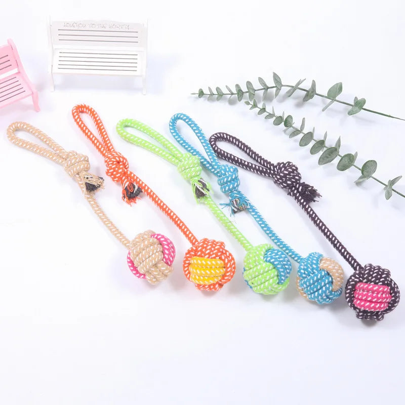 Training Rope Ball Toy