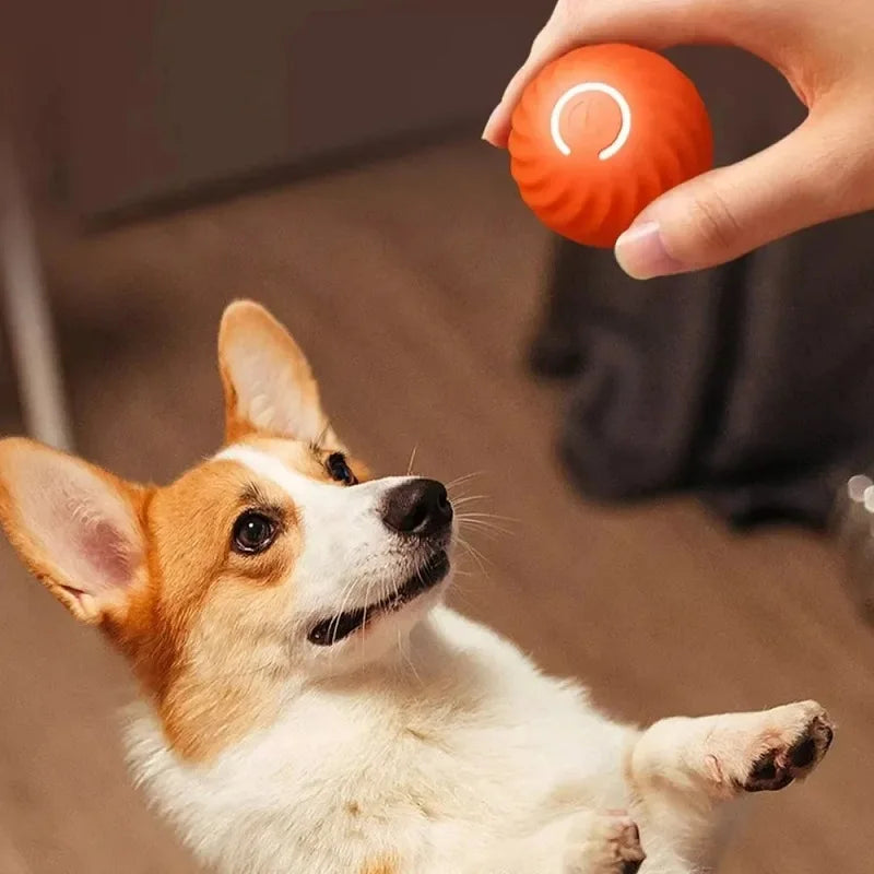 Intelligent Interactive Dog Toy