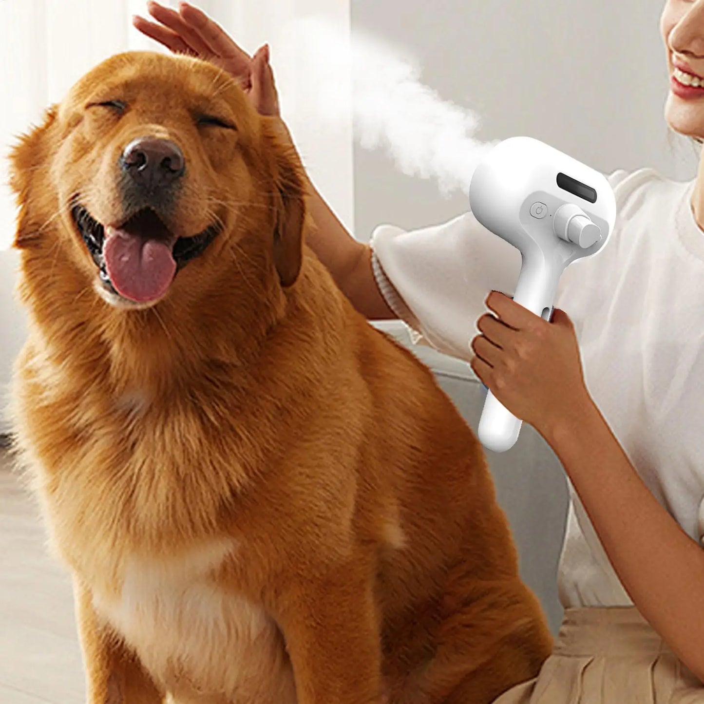 Electric Pet Steam Brush