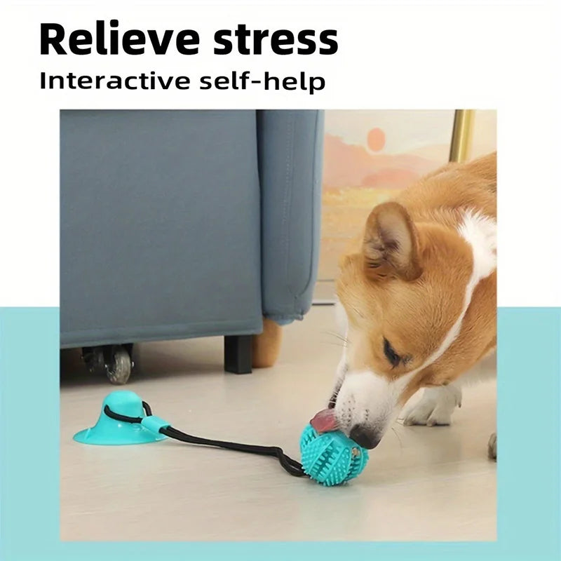 Smart Interactive Dog Ball