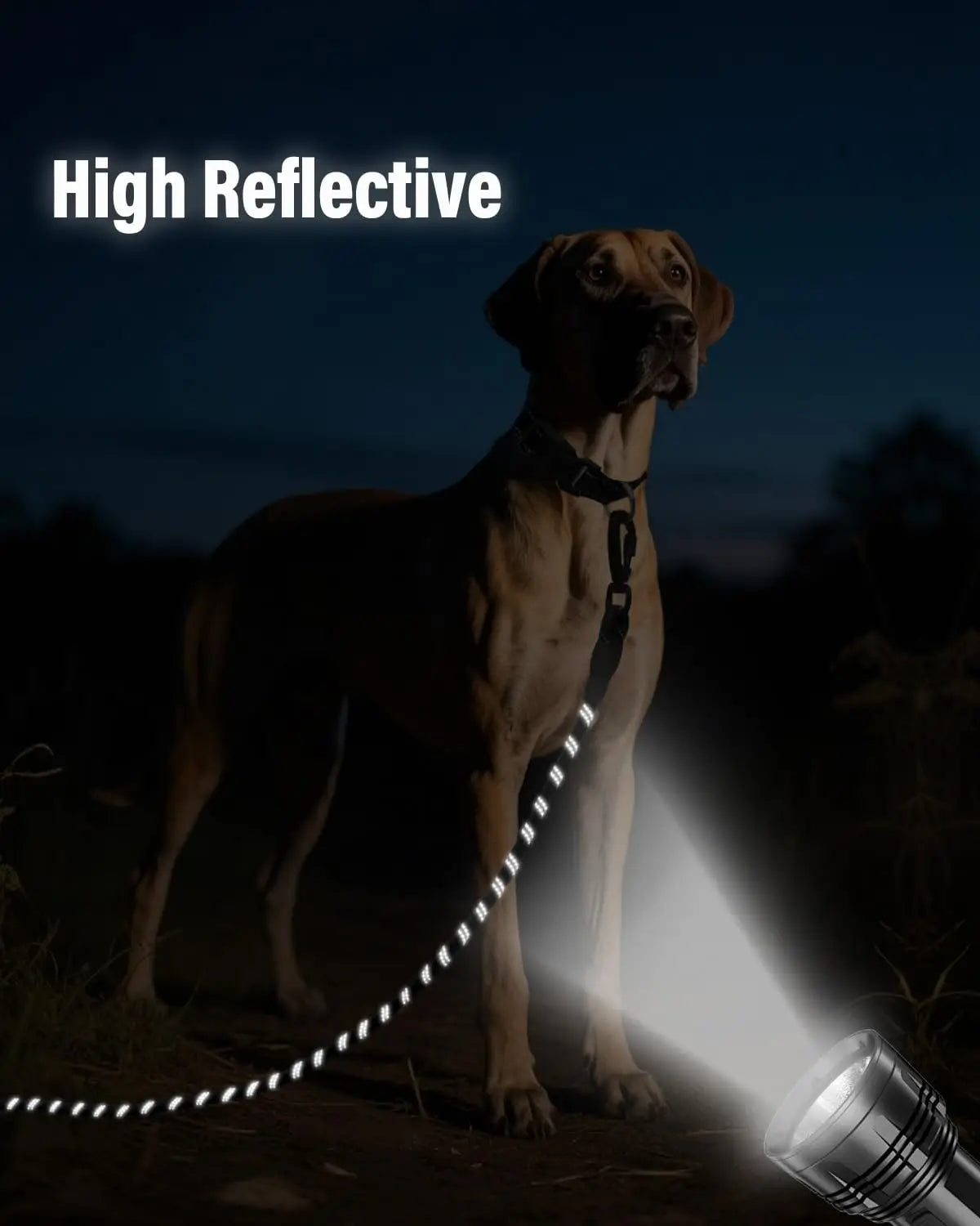 Long Training Dog Leash