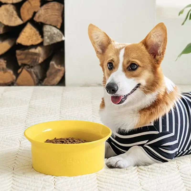 Ceramic Anti Tip Pet Bowl