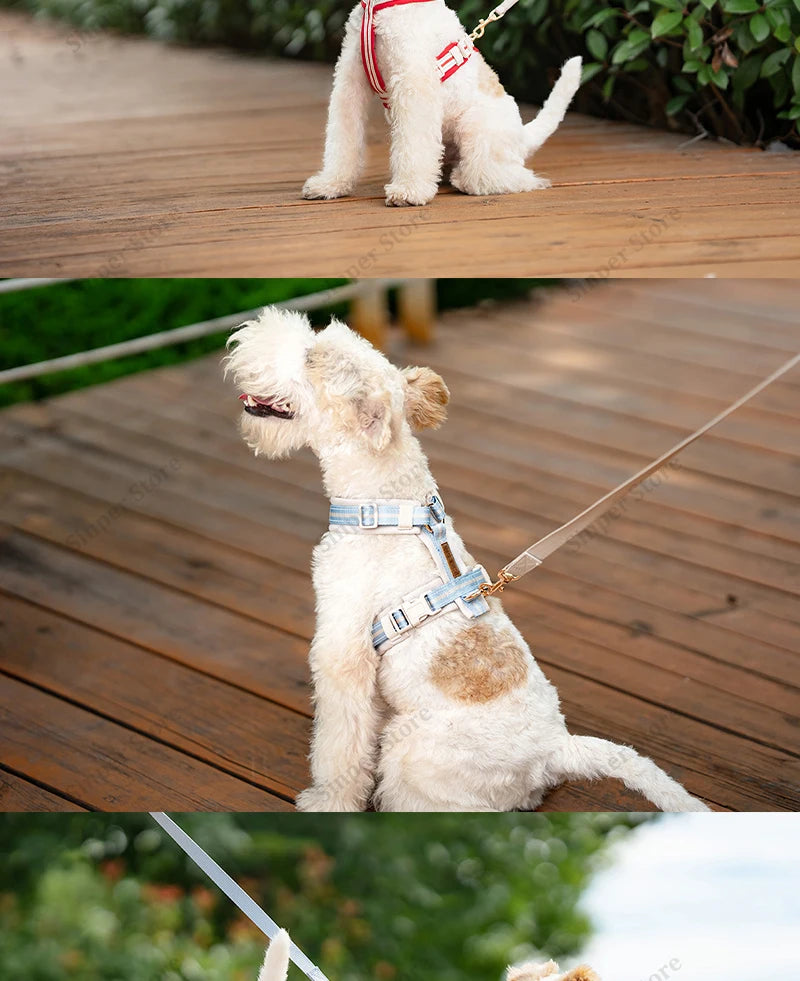 Square Waterproof Dog Bed