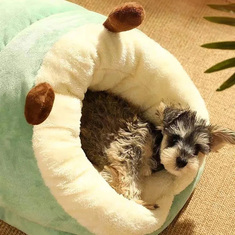 Slipper Style Dog Bed