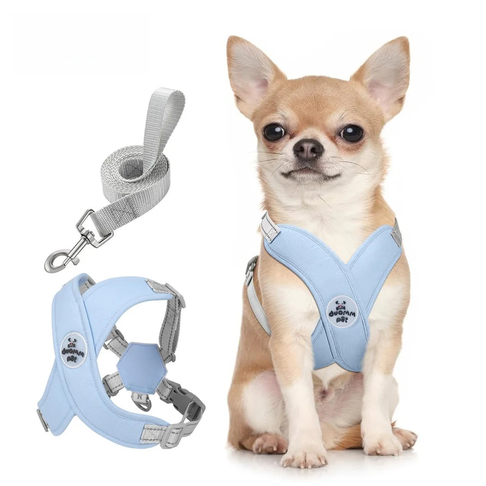 No Pull Harness Leash Set