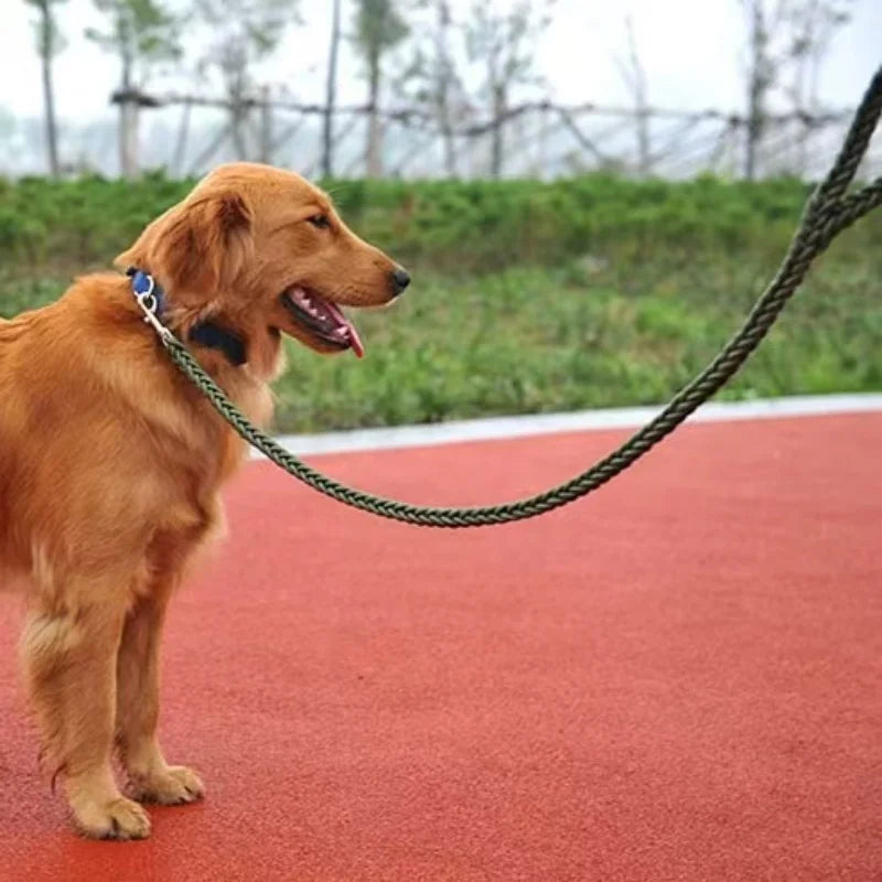 Heavy Duty Dog Leash