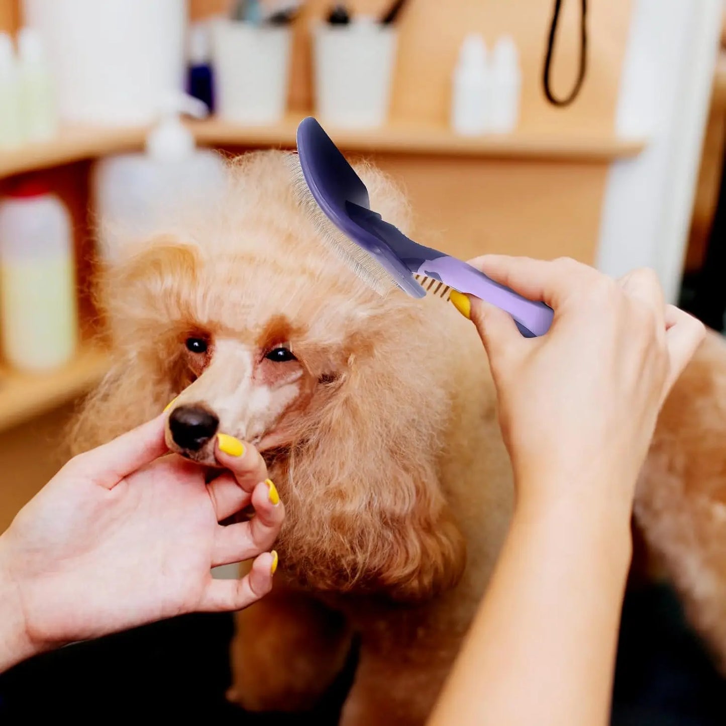 Dog Dematting Grooming Brush