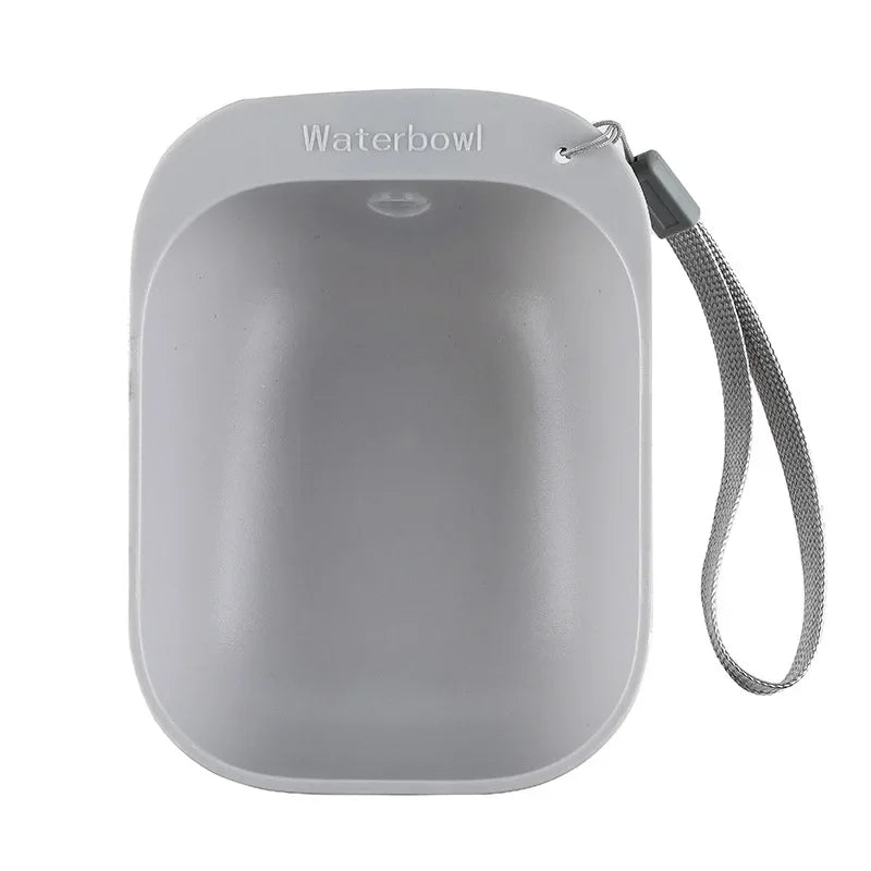 Travel Pet Water Bottle