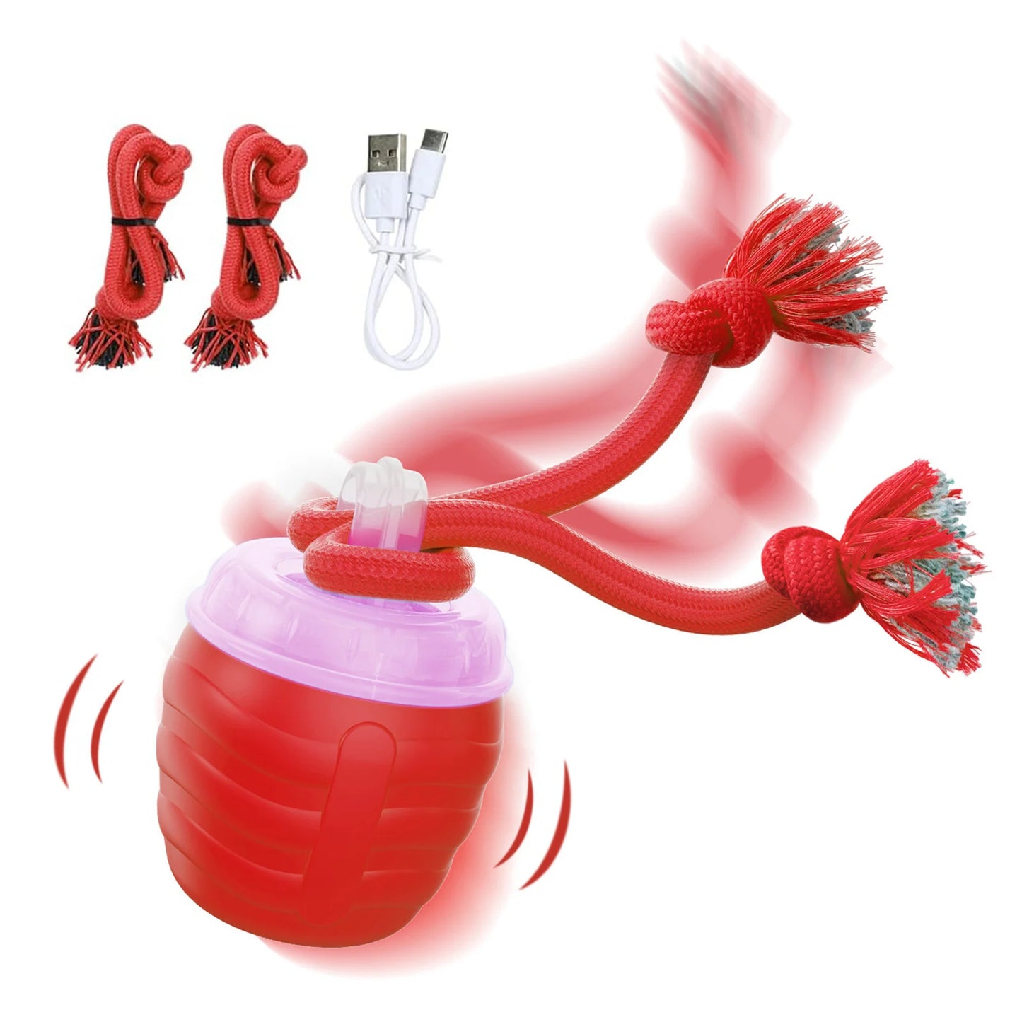 Treat Dispensing Dog Ball