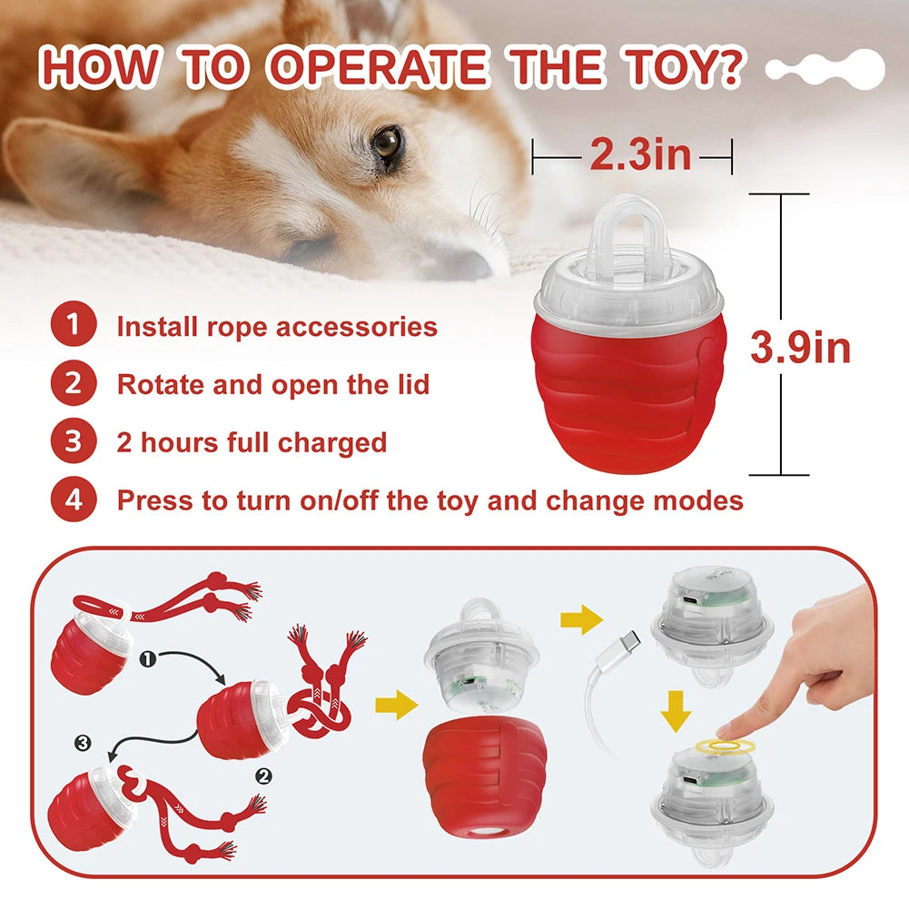 Treat Dispensing Dog Ball