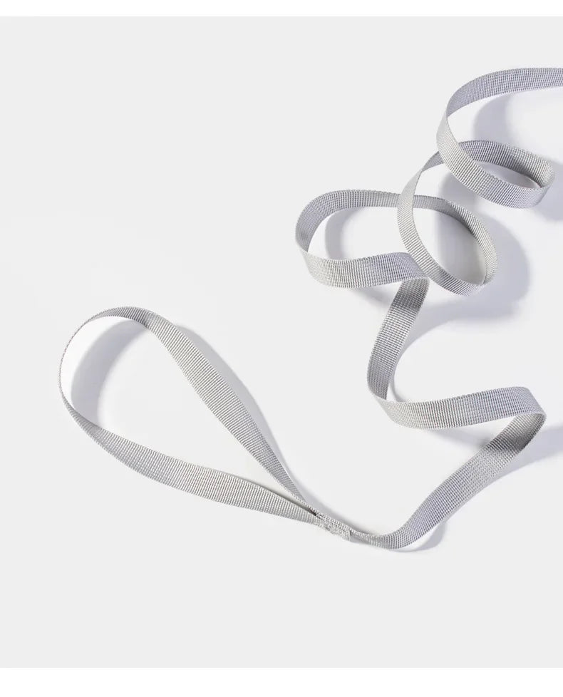 Dog Harness Leash Set