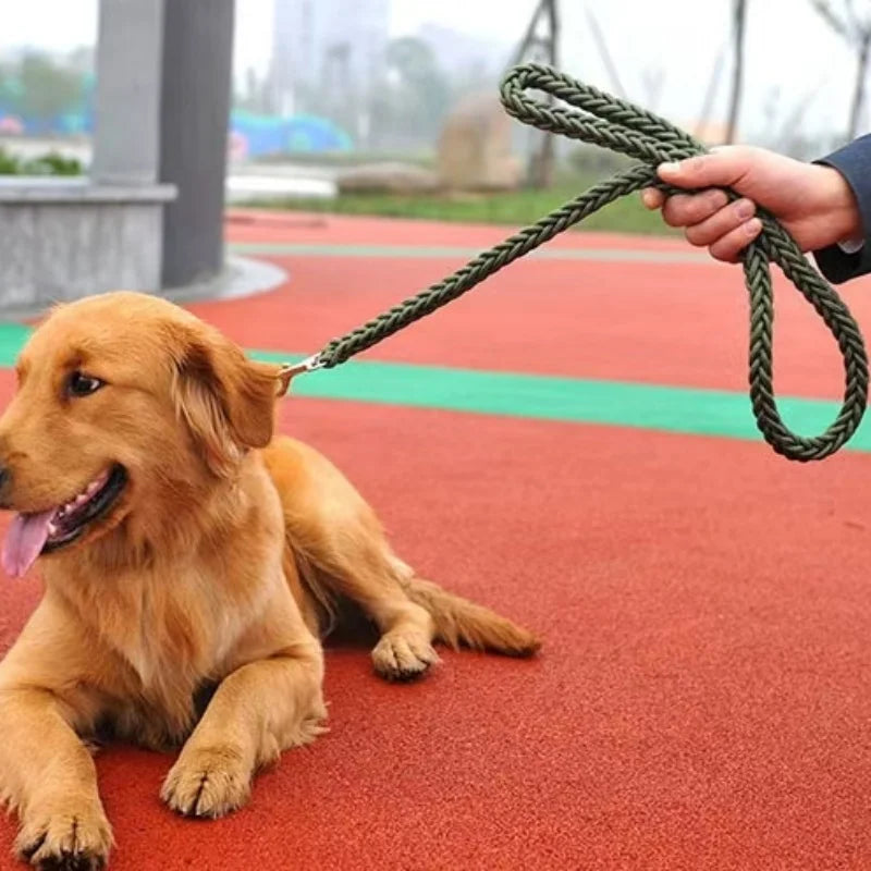 Heavy Duty Dog Leash